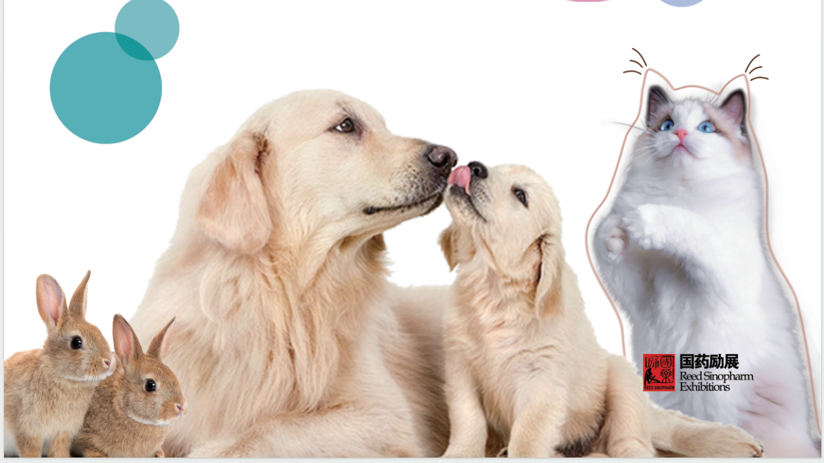 微信图片_20240410160059.png 微信图片_20240410160059.png