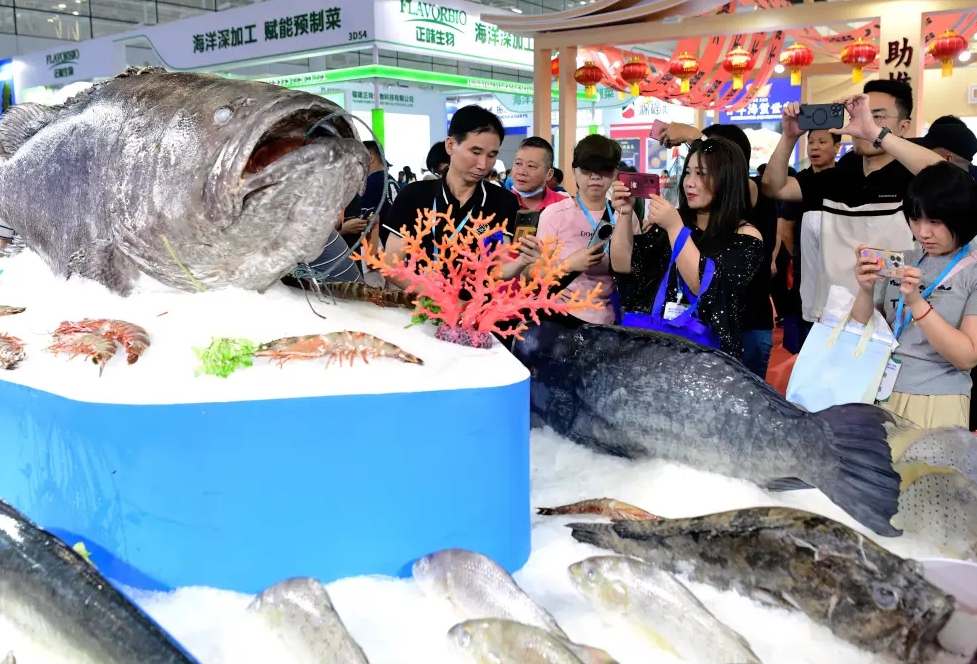 微信截图_20240806105831.png 微信截图_20240806105831.png