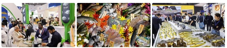 微信截图_20240806110452.png 微信截图_20240806110452.png